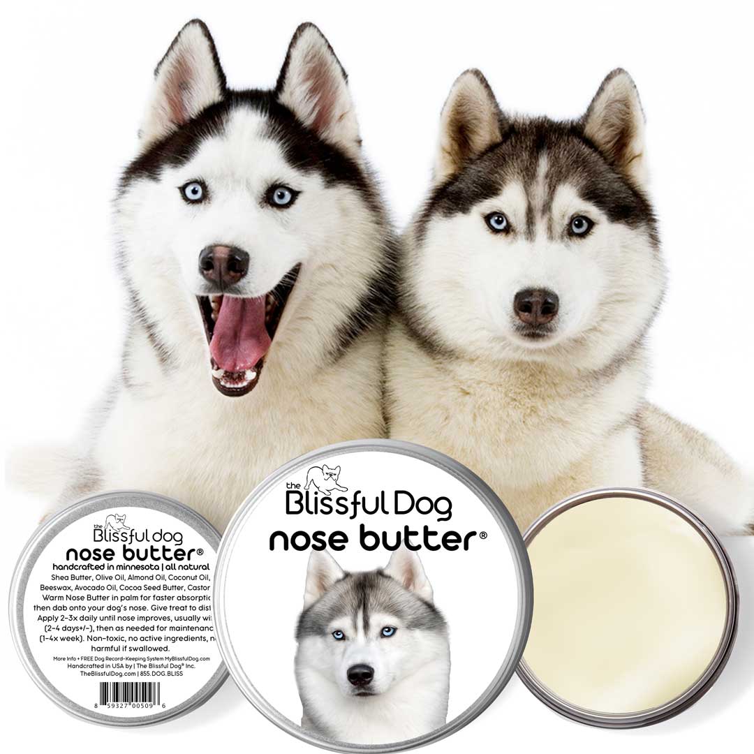 Siberian Husky Nose